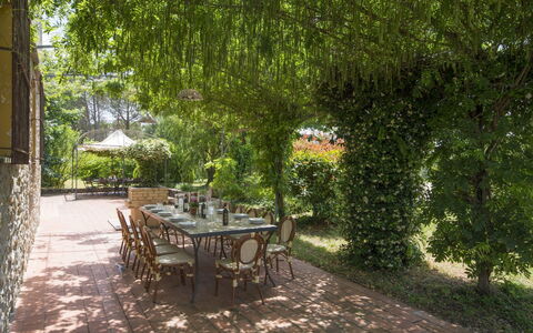 Il Leccio: Proprietà, Albero, Paesaggio Naturale, Tavolo, Mobilia, Immobiliare, Botanica, Giardino, Cortile, Casa