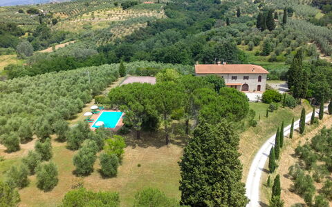 Il Leccio: Fotografia Aerea, Paesaggio Naturale, Visione Globale, Hill Station, Proprietà, Area Rurale, Estate, Paesaggio, Fotografia, Albero