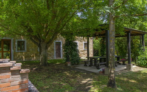 Casa dei Ciliegi: Pianta, Finestra, Foglia, Albero, Lotto, Shade, Erba, Woody Impianto, Porta, Paesaggio Naturale