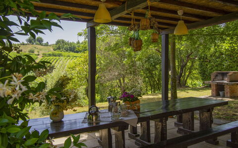 Casa dei Ciliegi: Pianta, Costruzione, Shade, Tavolo, Botanica, Portico, Mobili Da Esterno, Interior Design, Albero, Legna
