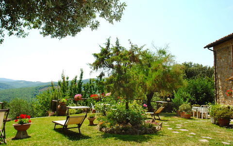 Gambassi Terme 840: Giardino, Vegetazione, Paesaggio Naturale, Erba, Cortile, Proprietà, Albero, Lotto, Botanica, Backyard