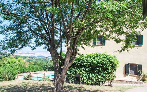 Podere Valle di Sotto: Albero, Foglia, Ramo, Primavera, Shade