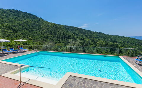 Reggello 840: Acqua, Cielo, Proprietà, Piscina, Azzurro, Rettangolo, Pianta, Costruzione, Albero, Materiale Composito