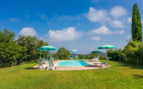 Poggio al Colle: Nube, Acqua, Cielo, Proprietà, Pianta, Albero, Paesaggio Naturale, Lotto, Piscina, Corpo D'Acqua