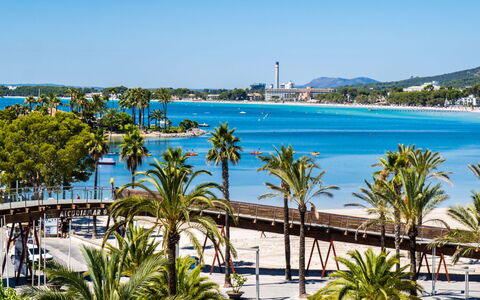 Mariners 4: Palma, Spiaggia, Albero, Vacanza, Costa, Mare, Azzurro, Cielo, Riva, Baia