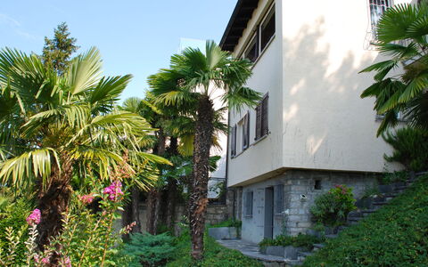 Aldesago 525: Pianta, Costruzione, Cielo, Finestra, Fiore, Albero, Arecales, Casa, Impianto Terrestre, Paesaggio