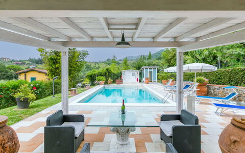 Al Melo: Acqua, Pianta, Proprietà, Piscina, Shade, Mobili Da Esterno, Finestra, Interior Design, Albero, Costruzione