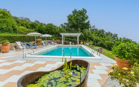 Al Melo: Pianta, Acqua, Cielo, Costruzione, Piscina, Mobili Da Esterno, Albero, Shade, Ombrello, Tempo Libero