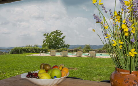Villa la Piaggia: Giallo, Fiore, Erba, Primavera, Pianta, Vaso Di Fiori, Prato, Wildflower, Paesaggio, Landscaping