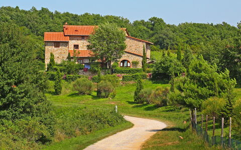 Gaiole in Chianti 880: Pianta, Cielo, Costruzione, Paesaggio Naturale, Lotto, Casa, Albero, Villetta, Erba, Arbusto