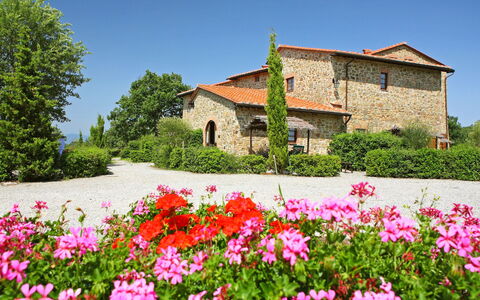 Gaiole in Chianti 880: Fiore, Pianta, Cielo, Proprietà, Finestra, Costruzione, Petalo, Botanica, Casa, Albero