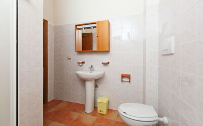 Alloggio:&nbsp;Il Pettirosso N°7 880.5