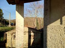 La Collina Con Gli Ulivi