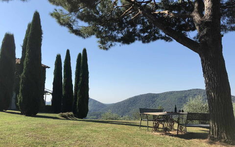 Compignano Barn: Albero, Cielo, Erba, Pianta, Paesaggio, Parco Nazionale, Roccia, Turismo, Montagna, Collina