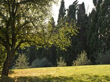 Giardino