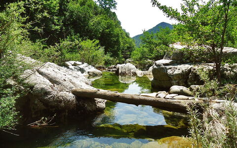 Il Casale: Corpo D'Acqua, Risorse Idriche, Paesaggio Naturale, Riparia, Riserva Naturale, Alveo, Natura, Vegetazione, Stream, Acqua