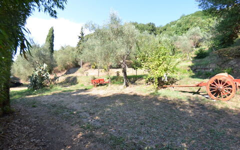Collina Lagomare: Proprietà, Paesaggio Naturale, Albero, Biome, Area Rurale, Paesaggio, Erba, Comunita 'Impianto, Lotto, Pianta