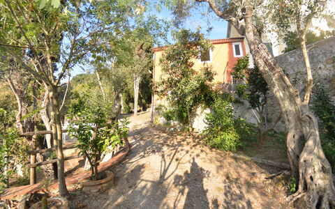 Collina Lagomare: Proprietà, Albero, Immobiliare, Casa, Strada, Pianta, Costruzione, Comunita 'Impianto, Paesaggio, Estate