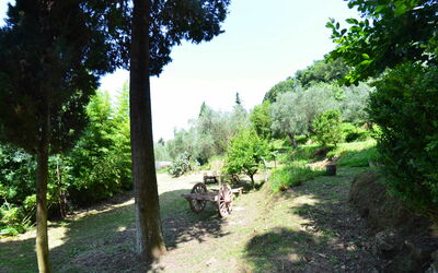 Collina Lagomare