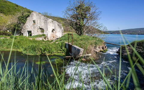Klen 2: Corpo D'Acqua, Acqua, Paesaggio Naturale, Natura, Vegetazione, Verde, Erba, Costa, Mare, Banca