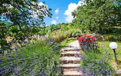 Arcidosso 800