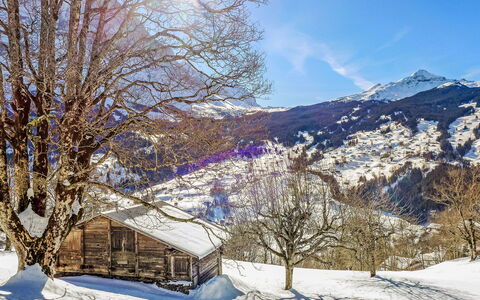 Chalet Hobelbank: Neve, Inverno, Ramo, Natura, Geografia Montane, Montagna, Paesaggio Naturale, Paesaggio, Geomorfologia Glaciale, Catena Montuosa