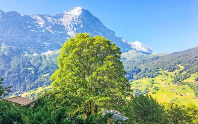 Casa vacanza Chalet Hobelbank - Grindelwald, Berna, Svizzera