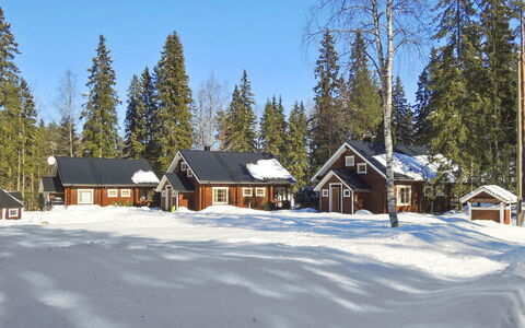 Purnuranta B: Legna, Villetta, Log Cabin, Foresta, Capannone, Edifici Giardino, Larice, Woodland, Color Legno