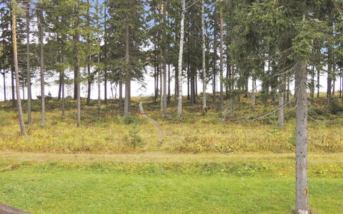 Purnuranta B: Legna, Villetta, Log Cabin, Foresta, Capannone, Edifici Giardino, Larice, Woodland, Color Legno