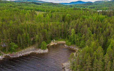 Kainalolahti: Albero, Paesaggio Naturale, Foresta, Banca, Paesaggio, Natura Selvaggia, Larice
