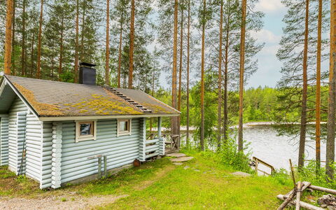 Kainalolahti: Albero, Villetta, Foresta, Woodland, Area Rurale, Log Cabin, Larice, Riserva Naturale, Edifici Giardino