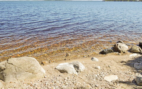 Pielislinna Loma-Koli: Albero, Banca, Casa, Villetta, Lago, Stagno, Foresta, Log Cabin