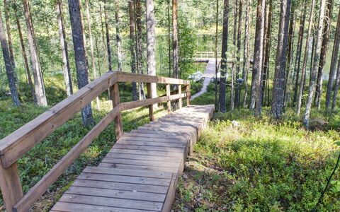 Otsopirtti, Otso: Legna, Villetta, Log Cabin, Foresta, Capannone, Edifici Giardino, Larice, Woodland, Color Legno