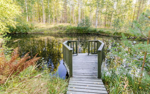 Käränkämökki: Legna, Villetta, Log Cabin, Foresta, Capannone, Edifici Giardino, Larice, Woodland, Color Legno