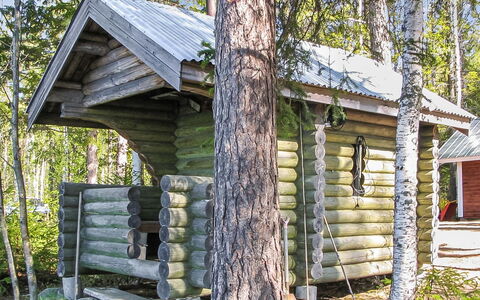 Lohi, Lie14: Albero, Legna, Villetta, Log Cabin, Capannone, Foresta, Capanna, Woodland, Edifici Giardino, Baracca