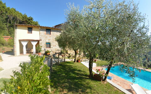 Batticapo di Ilaria: Proprietà, Immobiliare, Casa, Albero, Costruzione, Piscina, Casa, Villa, Appartamento, Vacanza