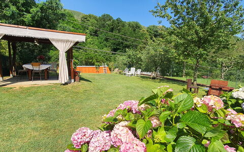 Casa Irene: Fiore, Pianta, Cielo, Botanica, Natura, Petalo, Albero, Paesaggio Naturale, Erba, Paesaggio