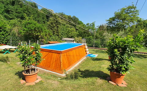 Casa Irene: Pianta, Comunita 'Impianto, Cielo, Shade, Mobili Da Esterno, Vegetazione, Vaso Di Fiori, Piscina, Albero, Erba