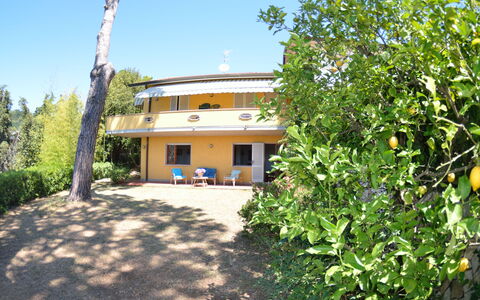 Il Corbezzolo: Proprietà, Casa, Immobiliare, Costruzione, Casa, Villetta, Albero, Villa, Estate, Lotto