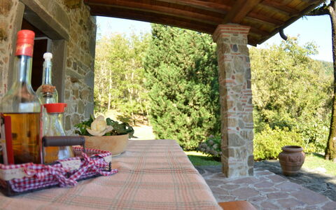 Vignoli: Proprietà, Costruzione, Camera, Portico, Casa, Terrazza, Immobiliare, Casa, Estate, Villa