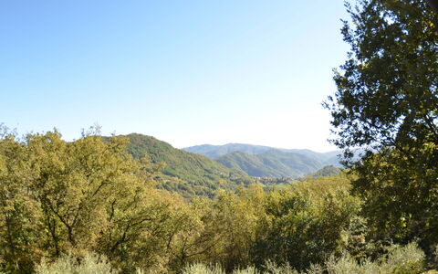 Vignoli: Geografia Montane, Vegetazione, Natura, Paesaggio Naturale, Albero, Cielo, Montagna, Natura Selvaggia, Ambiente Naturale, Collina