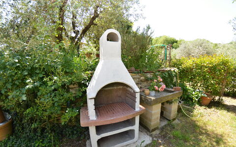 Petra: Giardino, Casa, Cortile, Pianta, Backyard