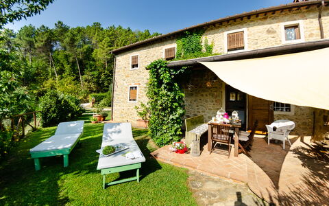 Podere L'istrice: Proprietà, Casa, Costruzione, Backyard, Cortile, Casa, Immobiliare, Architettura, Camera, Erba