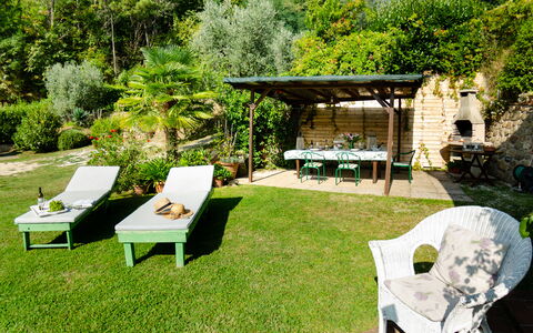 Podere L'istrice: Proprietà, Backyard, Cortile, Casa, Erba, Giardino, Mobilia, Prato, Landscaping, Terrazza