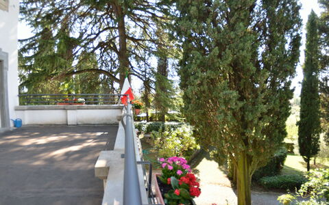 Villa Il Borghetto: Albero, Pianta, Fiore, Primavera, Architettura, Passerella, Parco, Arbusto