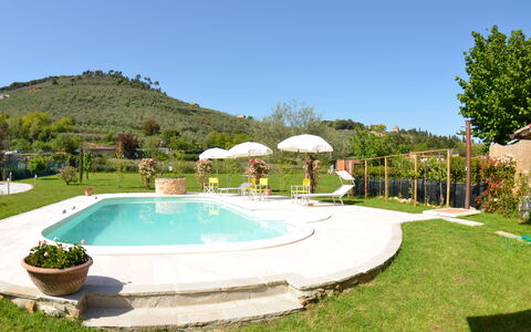 Al Vecchio Pozzo: Piscina, Proprietà, Immobiliare, Estate, Casa, Erba, Costruzione, Zona Residenziale, Casa, Villa
