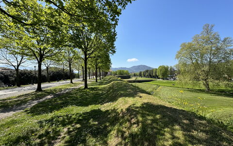 Alle Mura: Verde, Erba, Natura, Paesaggio Naturale, Vegetazione, Pascolo, Collina, Plain, Paesaggio, Lotto