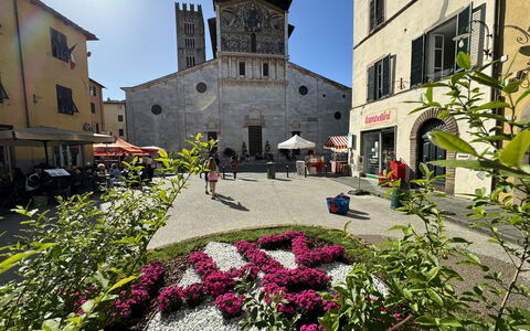 Casina Bella Di Lucca: Costruzione, Finestra, Cittadina, Facciata, Vaso Di Fiori, Ombrello, Tavolo Esterno, Mobili Da Esterno, Pianta Della Casa, La Piazza Cittadina