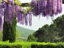 Villa Felciai