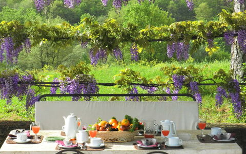 Villa Fabbri: Viola, Lavanda, Giardino, Lilla, Primavera, Albero, Pianta, Fiore, Tavolo, Terrazza